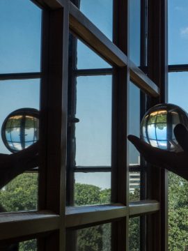 דב ליכט — נלחם ללא הפסק