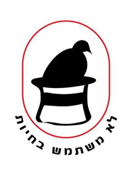 שלוף את המצפון שלך ,קוסם הסרטון המדובר